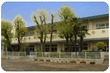 西秦野幼稚園 西秦野幼稚園
